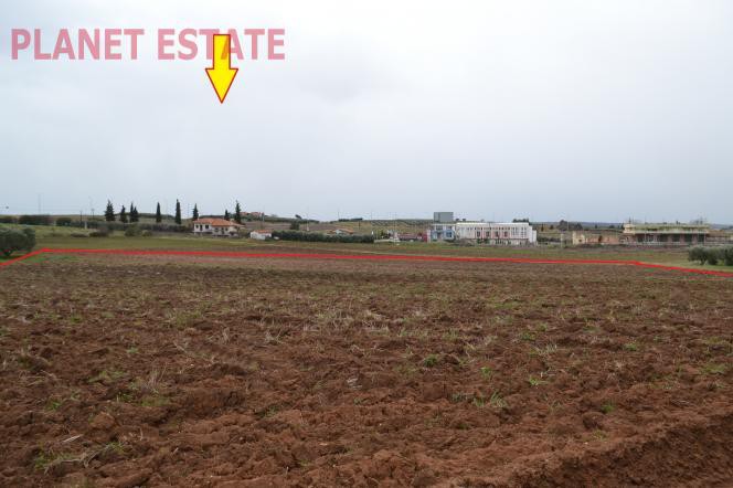 Αγροτεμάχια 12.500 τ.μ. προς πώληση, Νέα Φώκαια Κασσάνδρας