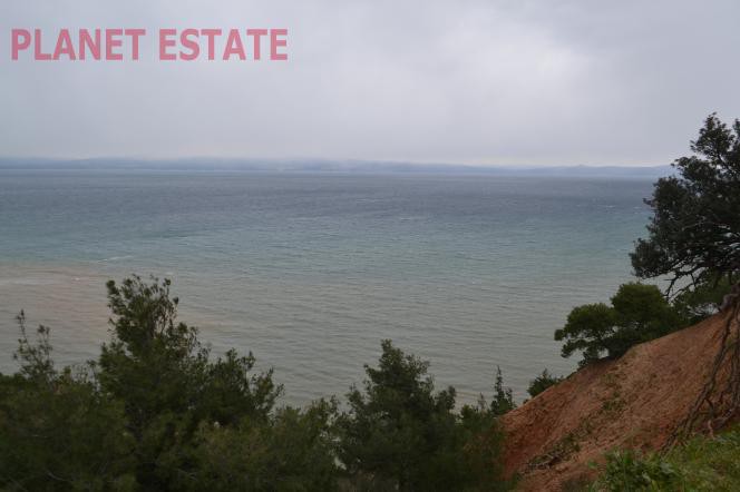Αγροτεμάχια 12.500 τ.μ. προς πώληση, Νέα Φώκαια Κασσάνδρας