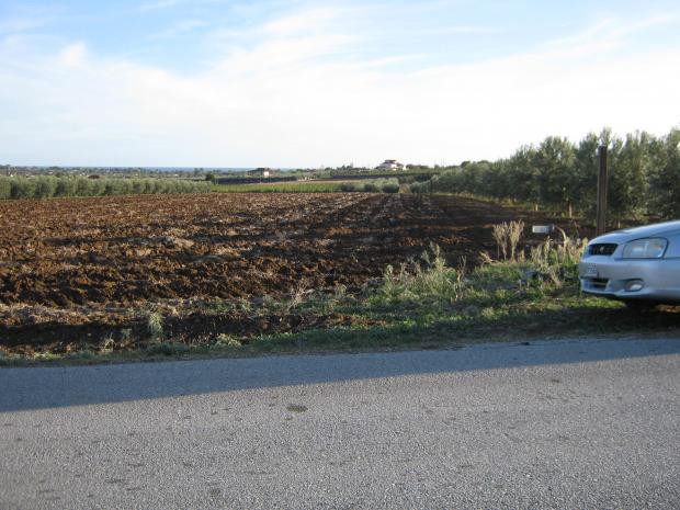 Αγροτεμάχια 4.500 τ.μ. προς πώληση, Άγιος Παύλος Καλλικράτειας