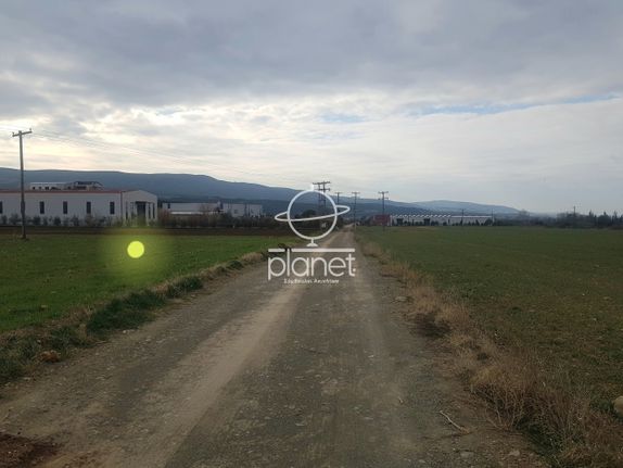 Αγροτεμάχια 4.500 τ.μ. για πώληση, Θεσσαλονίκη - Περιφ/Κοί Δήμοι, Θέρμη