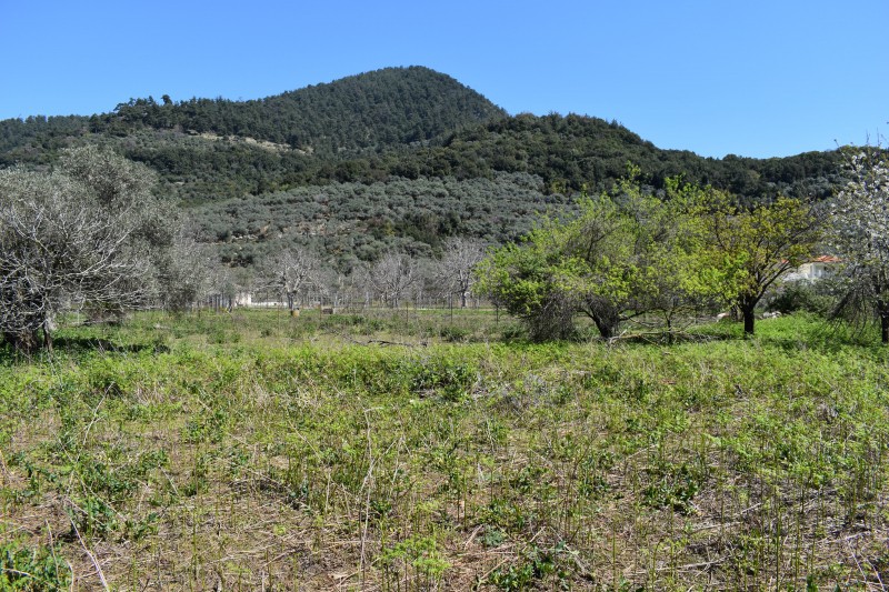 Αγροτεμάχια 3.438 τ.μ. πρός πώληση, Ν. Καβάλας, Θάσος