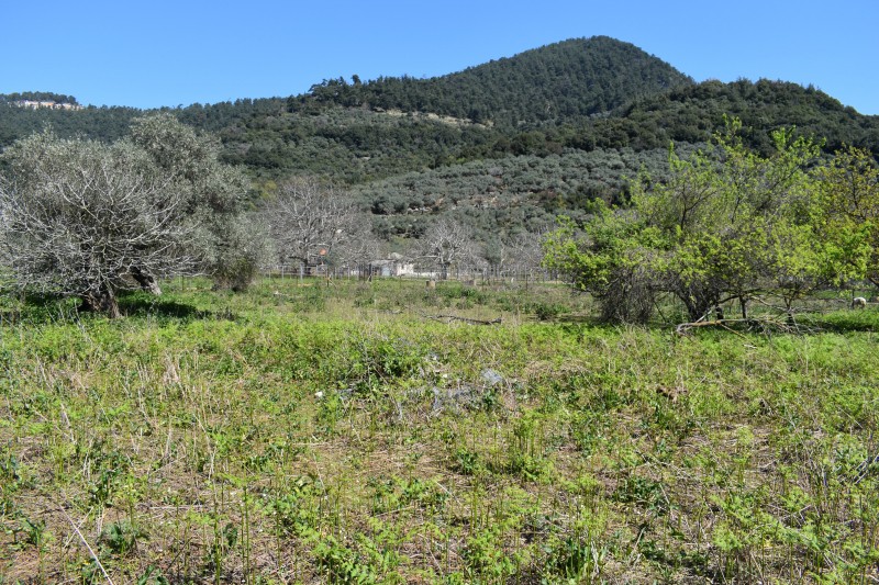 Αγροτεμάχια 3.438 τ.μ. πρός πώληση, Ν. Καβάλας, Θάσος