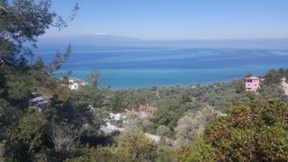 Αγροτεμάχια 6.423 τ.μ. για πώληση