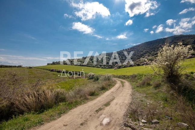 Αγροτεμάχια 38.550 τ.μ. για πώληση, Μαγνησία, Αισωνία