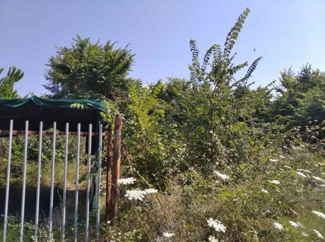Parcel 355sqm for sale-Kallikrateia » Nea Kallikrateia
