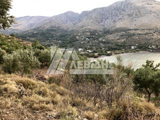 Οικόπεδο 4.484 τ.μ. για πώληση, Ν. Χίου, Χίος-thumb-5
