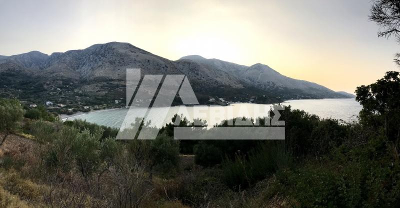 Οικόπεδο 4.484 τ.μ. προς πώληση, Καρδάμυλα