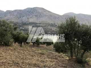 Οικόπεδο 4.484 τ.μ. για πώληση, Ν. Χίου, Χίος-thumb-6