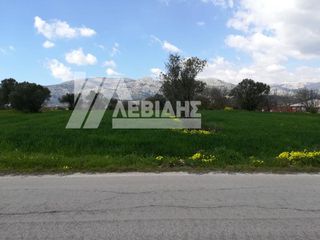 Οικόπεδο 3.604 τ.μ. προς πώληση, Καμποχώρια-thumb-2