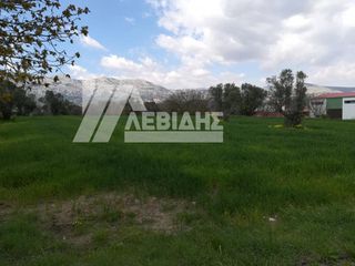 Οικόπεδο 3.604 τ.μ. προς πώληση, Καμποχώρια-thumb-1