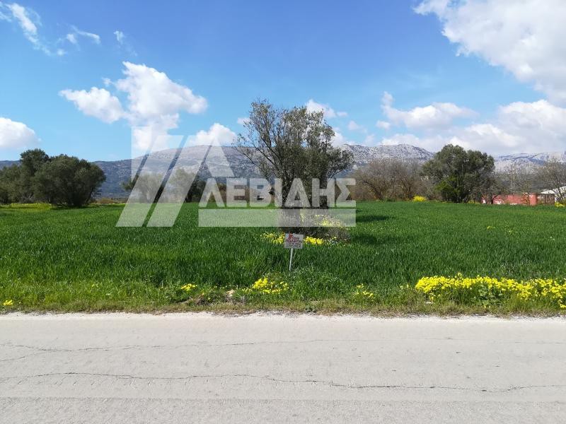 Οικόπεδο 3.604 τ.μ. προς πώληση, Καμποχώρια