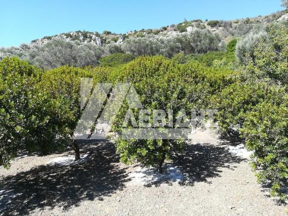 Parcel 3.000 sqm for sale, Chios Prefecture, Chios