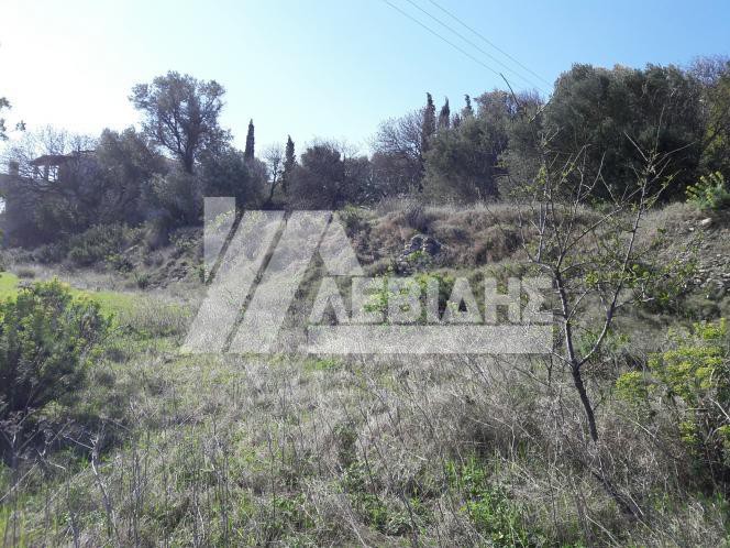 Land plot 1.081 sqm for sale, Chios Prefecture, Chios