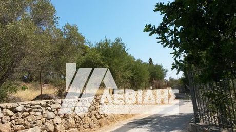 Οικόπεδο 14.115 τ.μ. για πώληση