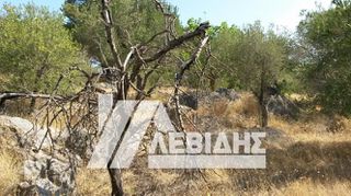Οικόπεδο 14.115 τ.μ. για πώληση, Ν. Χίου, Χίος-thumb-3