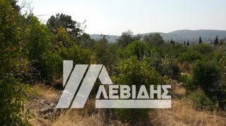 Οικόπεδο 14.115 τ.μ. για πώληση, Ν. Χίου, Χίος-thumb-2