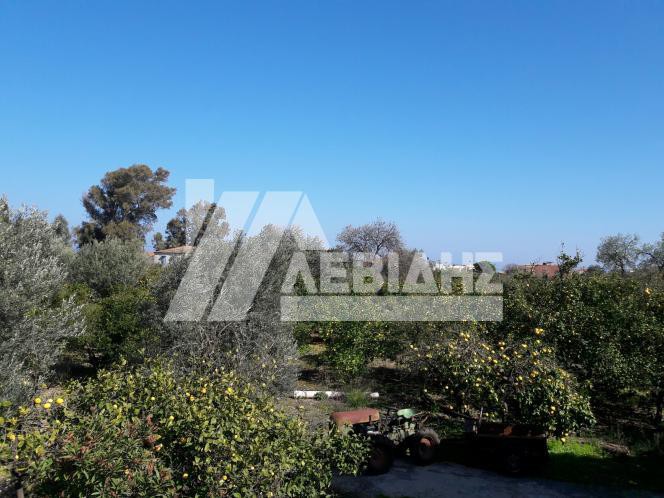 Οικόπεδο 16.726 τ.μ. προς πώληση, Πόλη Χίου