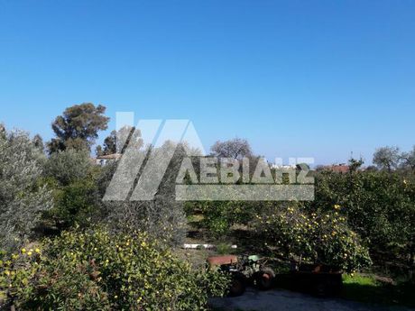 Οικόπεδο 16.726τ.μ. για πώληση-Χίος » Πόλη χίου