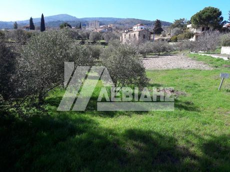 Land plot 1.552sqm for sale-Chios » Ionia