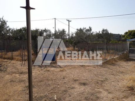 Land plot 154sqm for sale-Chios » Amani