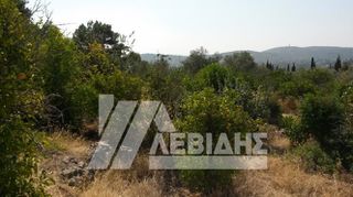 Οικόπεδο 4.134 τ.μ. πρός πώληση, Ν. Χίου, Χίος-thumb-2
