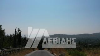 Οικόπεδο 4.134 τ.μ. για πώληση