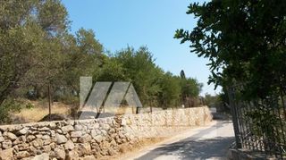 Οικόπεδο 4.134 τ.μ. πρός πώληση, Ν. Χίου, Χίος-thumb-1