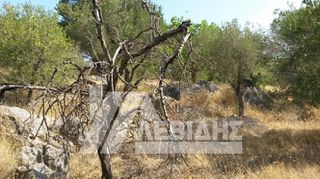 Οικόπεδο 4.134 τ.μ. πρός πώληση, Ν. Χίου, Χίος-thumb-3
