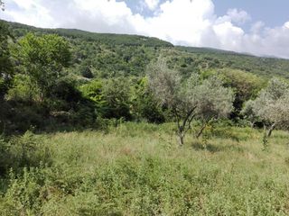 Οικόπεδο 2.000 τ.μ. για πώληση, Ν. Σερρών, Κερκίνη-thumb-3