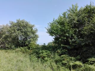 Οικόπεδο 2.000 τ.μ. για πώληση, Ν. Σερρών, Κερκίνη-thumb-1