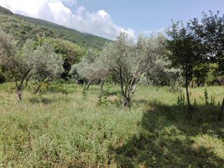 Οικόπεδο 2.000 τ.μ. για πώληση, Ν. Σερρών, Κερκίνη-thumb-2