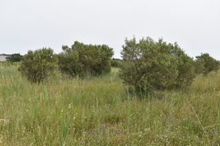 Αγροτεμάχια 2.030 τ.μ. για πώληση, Ν. Καβάλας, Θάσος-thumb-6