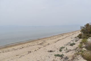 Αγροτεμάχια 2.030 τ.μ. για πώληση, Ν. Καβάλας, Θάσος-thumb-7