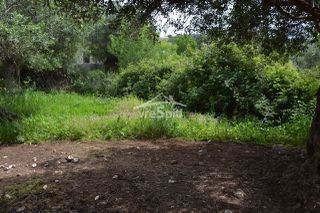 Οικόπεδο 724 τ.μ. για πώληση, Θεσπρωτία, Σύβοτα-thumb-7