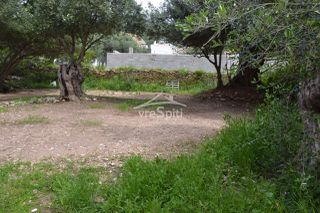 Οικόπεδο 724 τ.μ. για πώληση, Θεσπρωτία, Σύβοτα-thumb-8