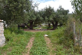 Οικόπεδο 724 τ.μ. για πώληση, Θεσπρωτία, Σύβοτα-thumb-10