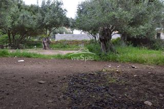 Οικόπεδο 724 τ.μ. για πώληση, Θεσπρωτία, Σύβοτα-thumb-17