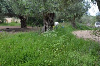 Οικόπεδο 724 τ.μ. για πώληση, Θεσπρωτία, Σύβοτα-thumb-18