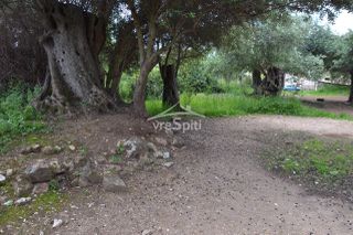 Οικόπεδο 724 τ.μ. για πώληση, Θεσπρωτία, Σύβοτα-thumb-21
