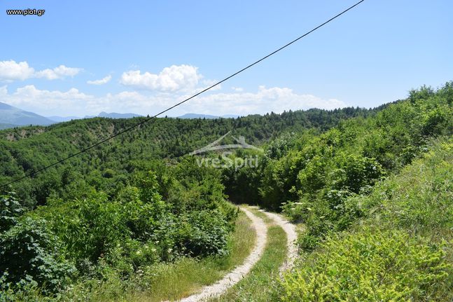 Οικόπεδο 700 τ.μ. για πώληση, Ν. Ιωαννίνων, Κεντρικό Ζαγόρι