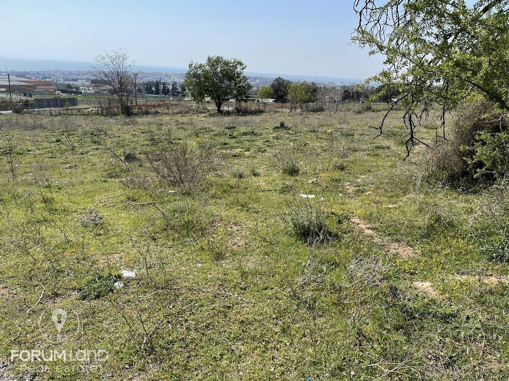 Αγροτεμάχια 6.600 τ.μ. προς πώληση, Πουρνάρι Πυλαίας
