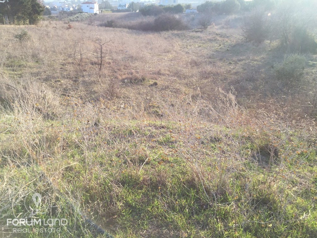 Αγροτεμάχια 6.600 τ.μ. προς πώληση, Πουρνάρι Πυλαίας