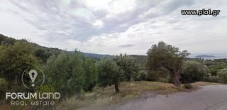 Οικόπεδο 780 τ.μ. προς πώληση, Μαρλιά-thumb-7