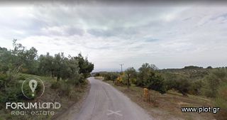 Οικόπεδο 780 τ.μ. προς πώληση, Μαρλιά-thumb-8