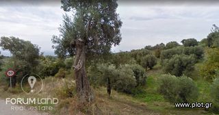 Οικόπεδο 780 τ.μ. προς πώληση, Μαρλιά-thumb-9