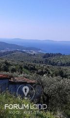 Οικόπεδο 780 τ.μ. προς πώληση, Μαρλιά-thumb-15