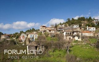 Οικόπεδο 780 τ.μ. προς πώληση, Μαρλιά-thumb-17