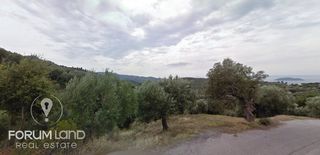 Οικόπεδο 780 τ.μ. προς πώληση, Μαρλιά-thumb-18