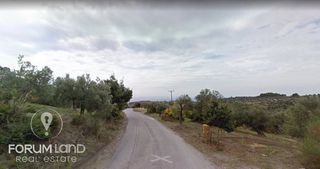 Οικόπεδο 780 τ.μ. προς πώληση, Μαρλιά-thumb-19