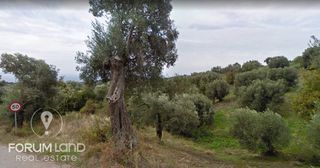 Οικόπεδο 780 τ.μ. προς πώληση, Μαρλιά-thumb-20